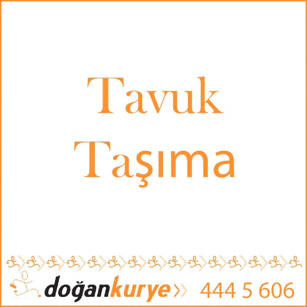 Tavuk Ta��ma