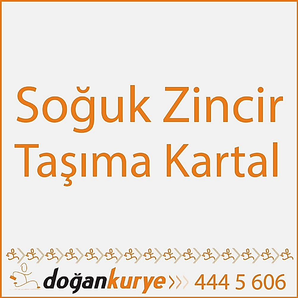 So�uk Zincir Ta��ma Kartal