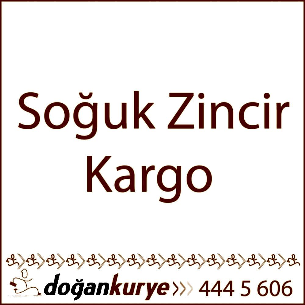 So�uk zincir kargo