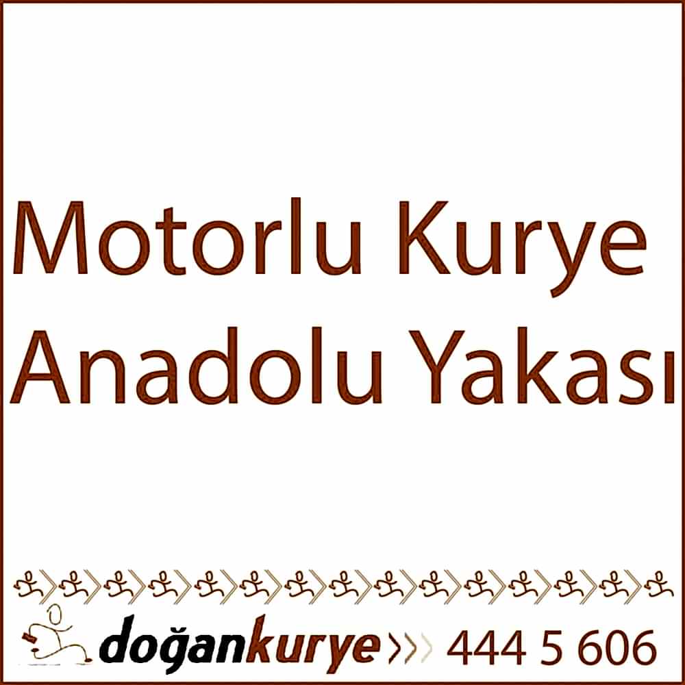 Motorlu kurye anadolu yakas�