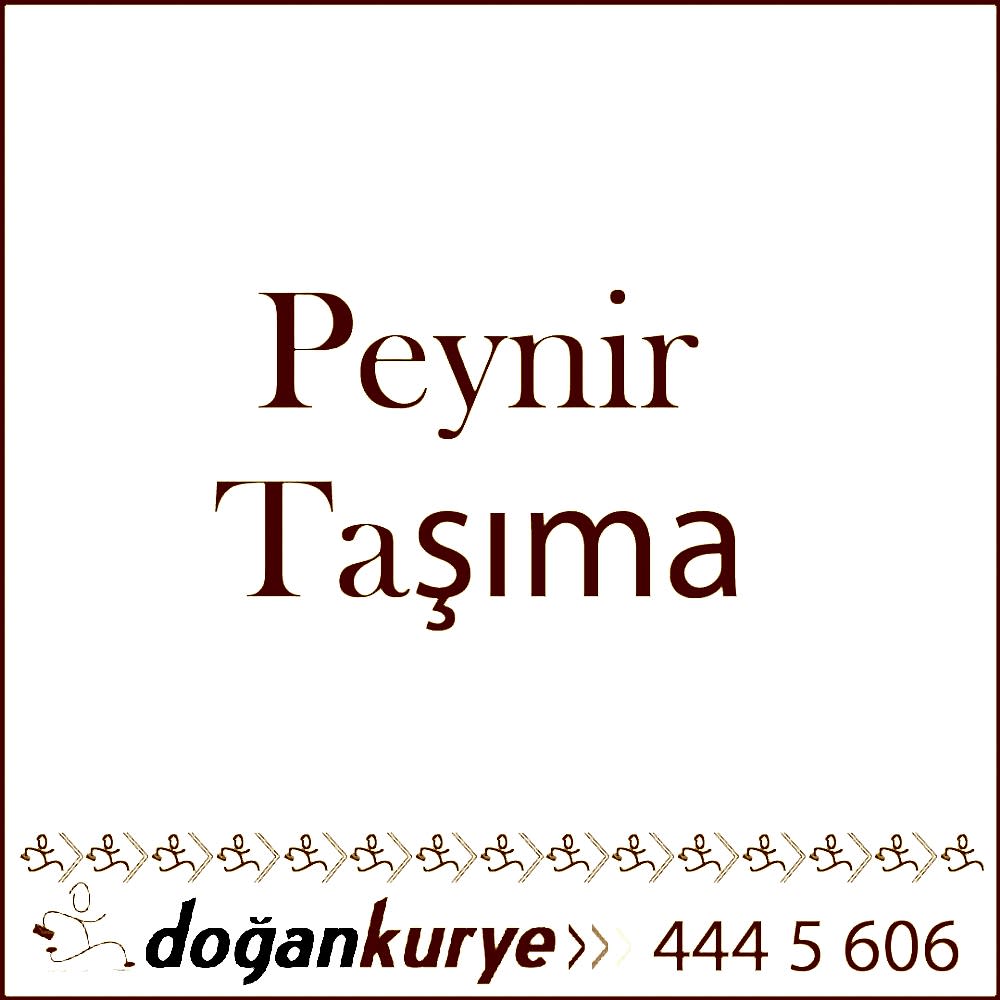 Peynir Ta��ma