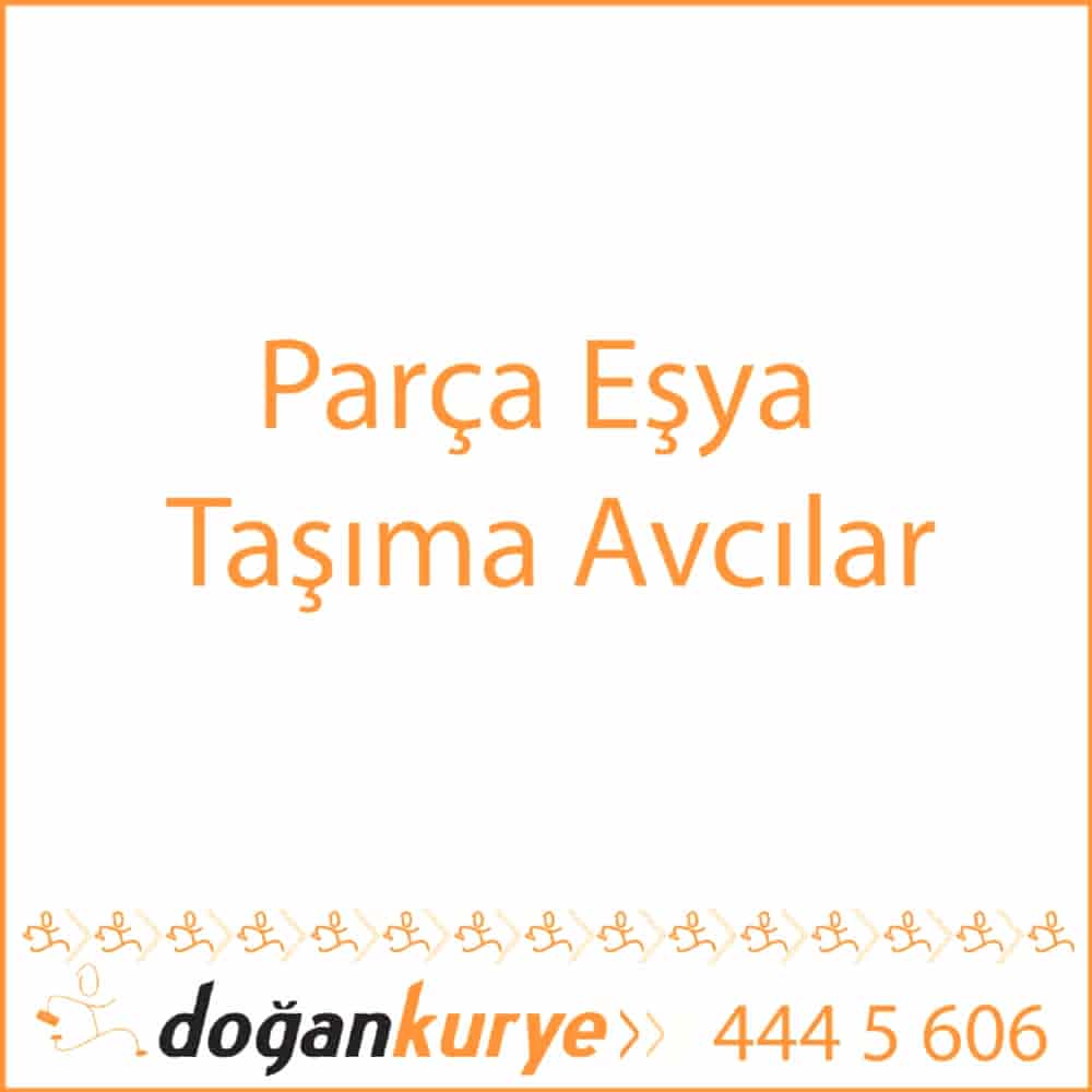 Par�a E�ya Ta��ma Avc�lar
