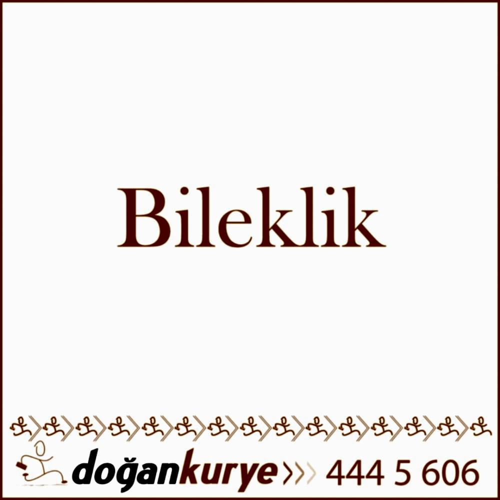 Bileklik Kurye Hizmeti