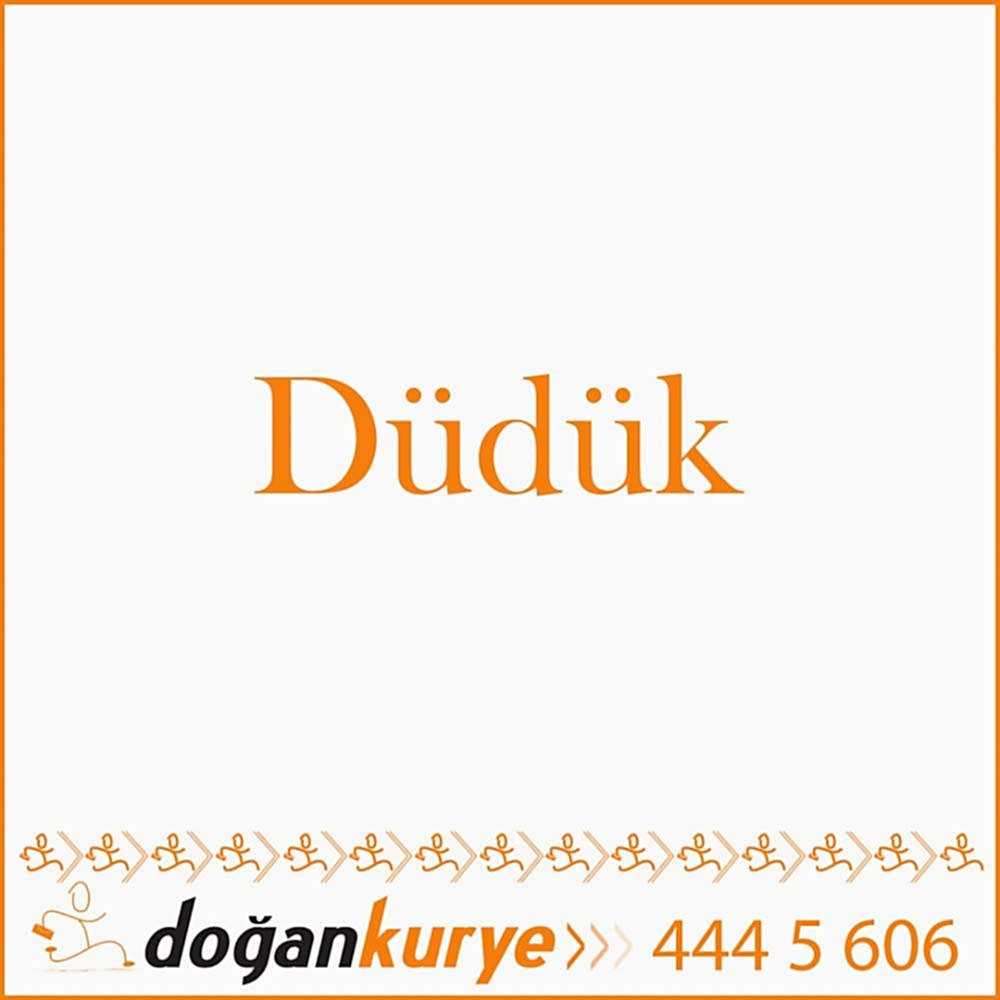 D�d�k Kurye Hizmeti