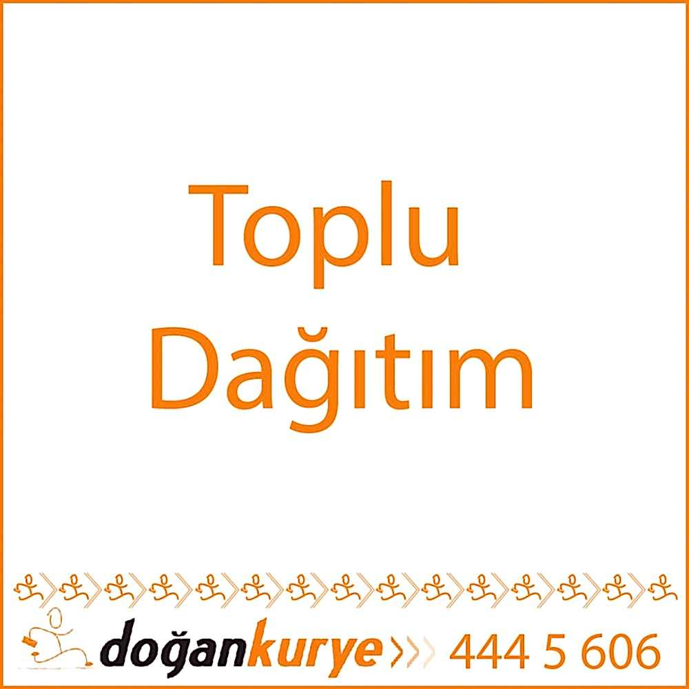 Toplu da��t�m