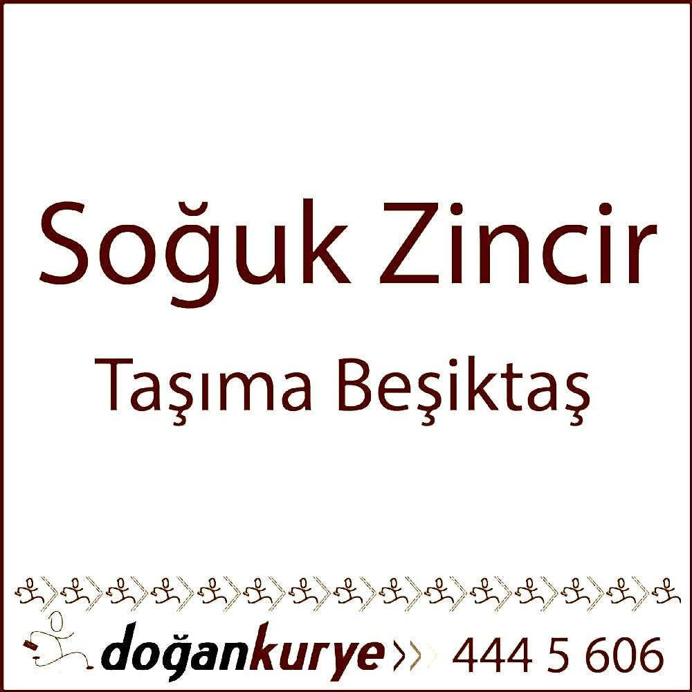 So�uk Zincir Ta��ma Be�ikta�