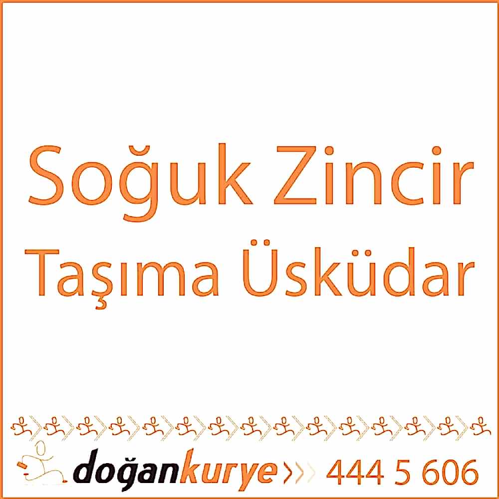 So�uk Zincir Ta��ma �sk�dar