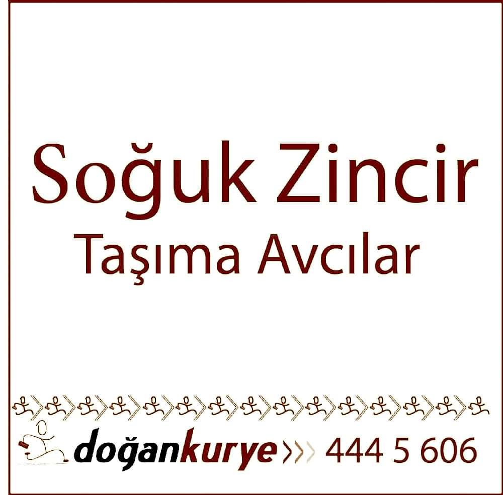 So�uk Zincir Ta��ma Avc�lar