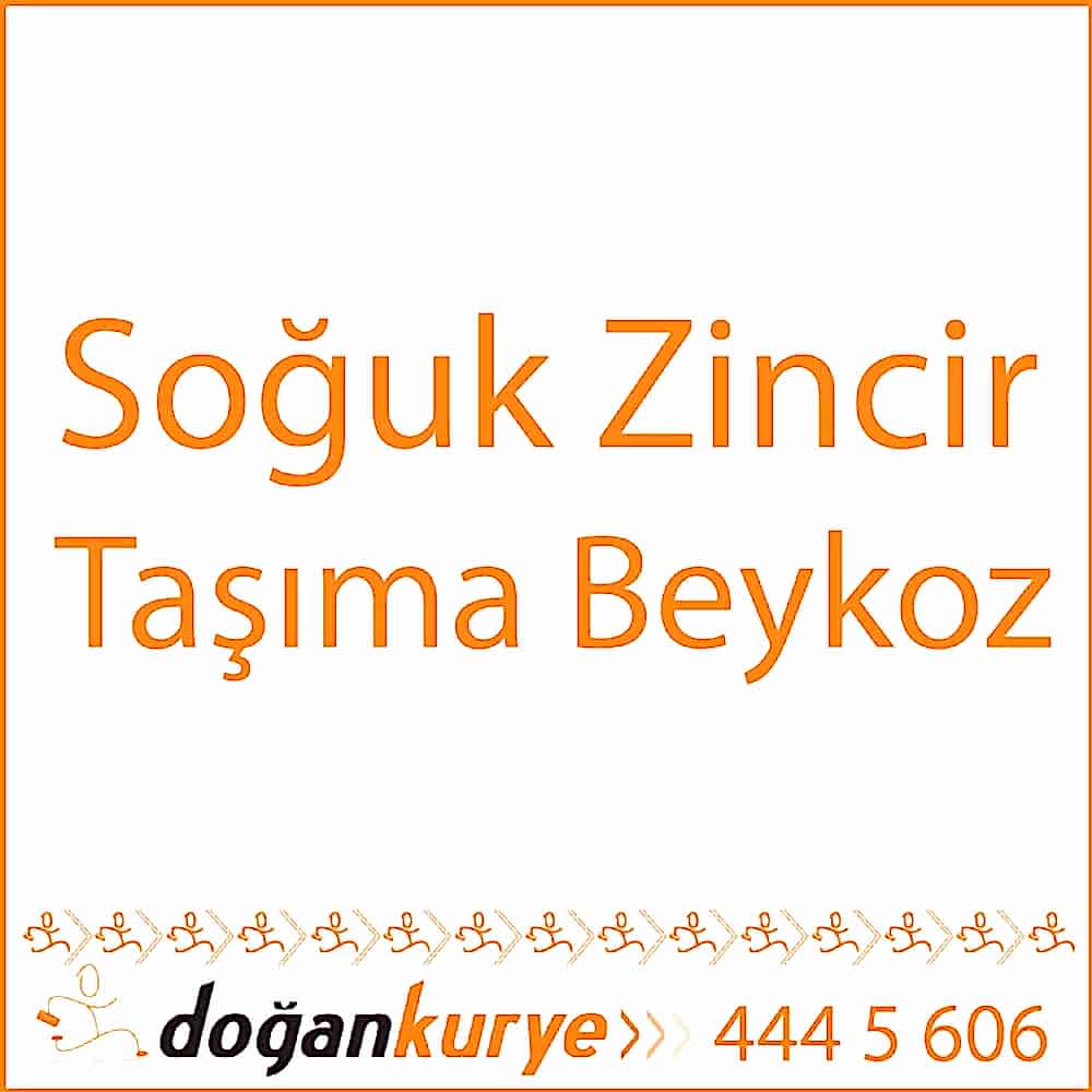 So�uk Zincir Ta��ma Beykoz