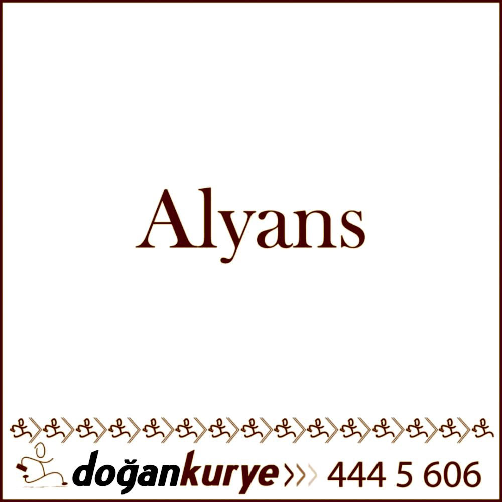 Alyans Kurye Hizmeti