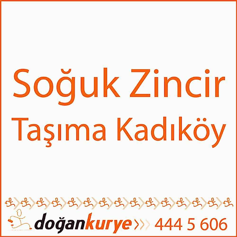 So�uk Zincir Ta��ma Kad�k�y