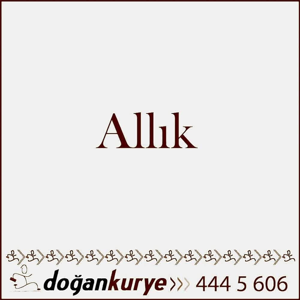 All�k Kurye Hizmeti